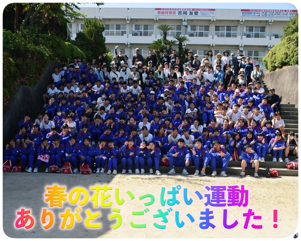 hana14